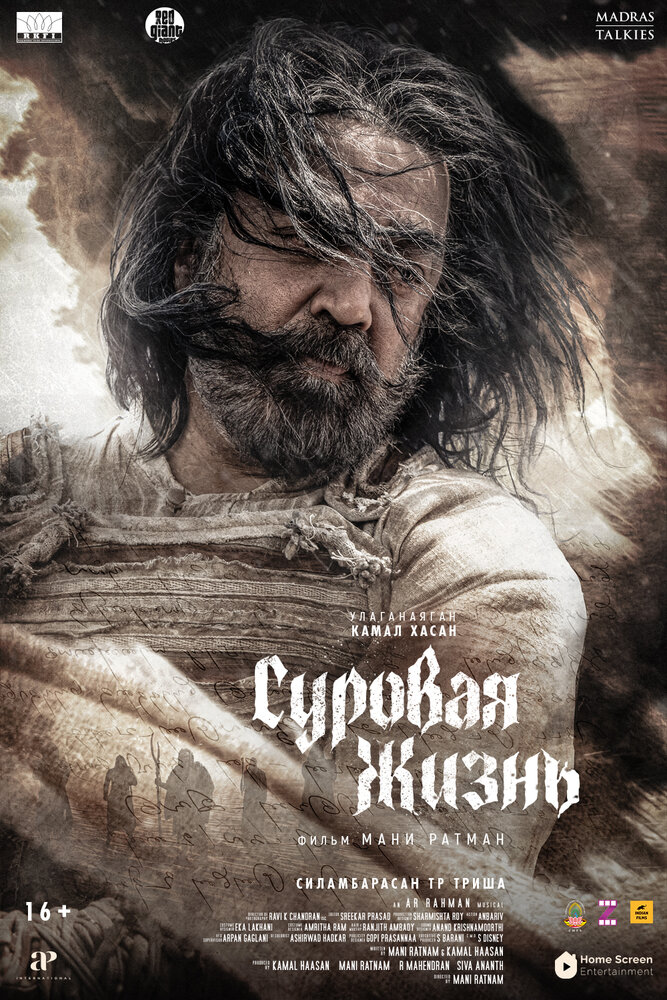 Суровая жизнь — постер